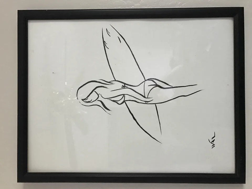 冲浪主题简笔画(过于自信与乐观的生活隐喻)